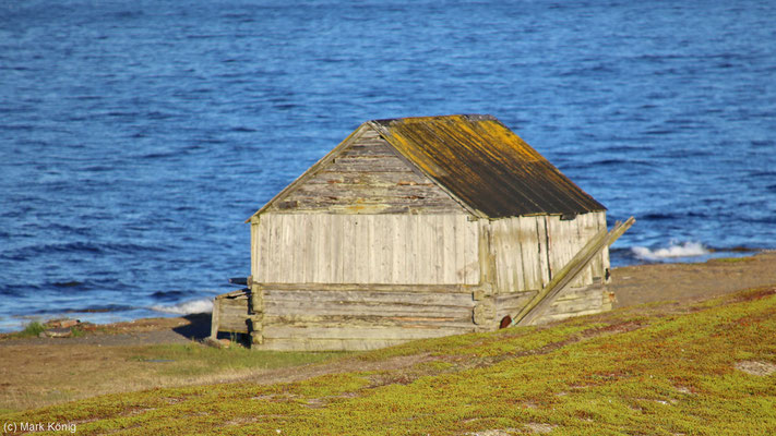 Eine Hütte neben der E75 am Rande der Barentssee (Landschaftsroute Varanger)