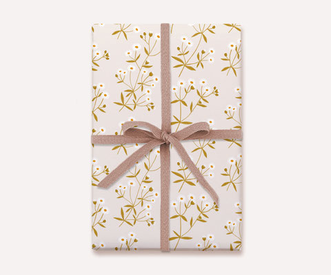 Geschenkpapier – Gänseblümchen