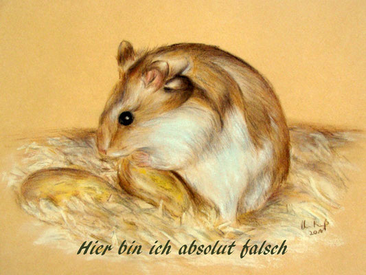 Hamsterzeichnung, Pastellkreide und Buntstifte