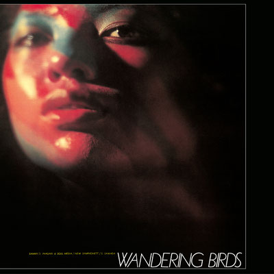 Jiro Inagaki & Soul Media / Wandering Birds  / Japan Pressung / CHF 49.50