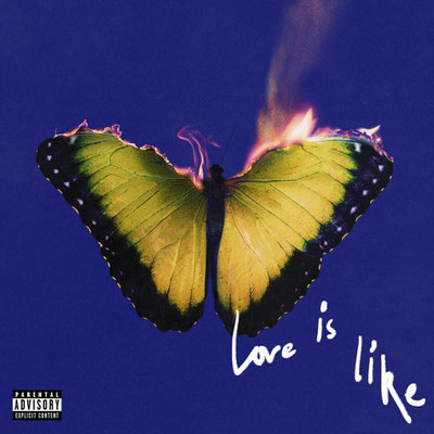 Maroon 5 / Love is Like / CHF 39.50
