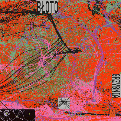 Bloto / Grzybnia / CHF 44.40