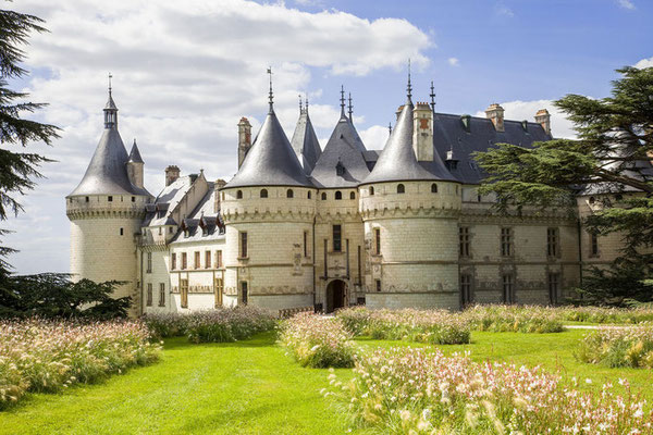 Le Champ du Pré - Bed and Breakfast in France - to visit near us : Chateau de Chaumont