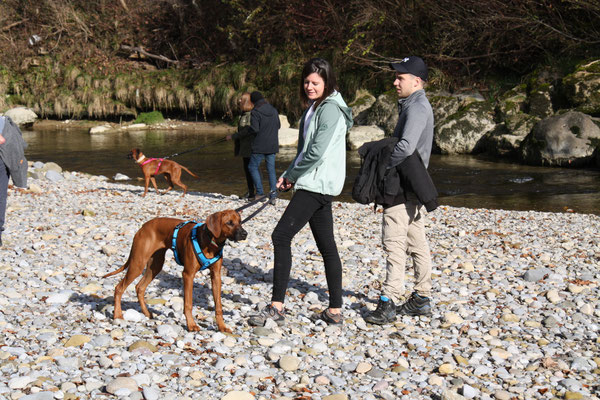 Rebecca & Damiano mit Kali