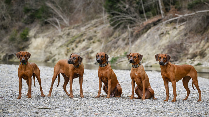Jamba, Chinua, Ivie, Jay-La und Jala