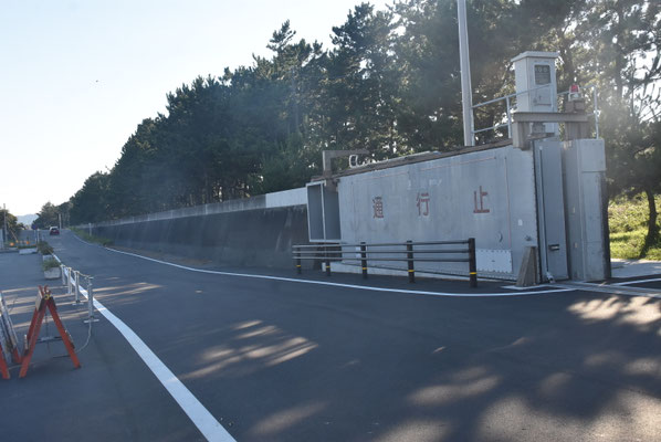 8923 静波海岸の防潮壁(地盤高5m+防潮壁2.5m)