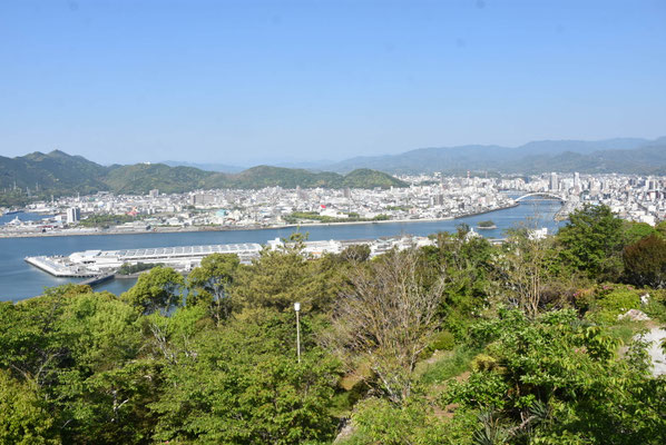 ３９８１　五台山から見た高知市街