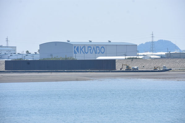 4218 那賀川河口の辰巳工業団地(2)