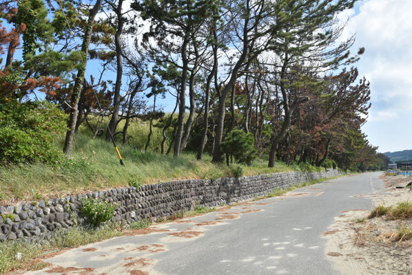 5683 須々木海岸(内陸側)