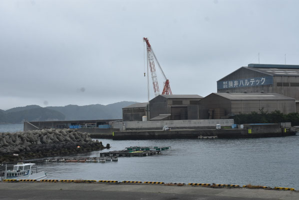 4560 沿岸の駒井ハルテック・和歌山工場