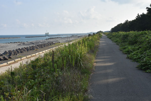 5748 焼津市南部の堤防
