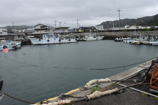 4461 有田川・左岸・河口部の箕島漁港