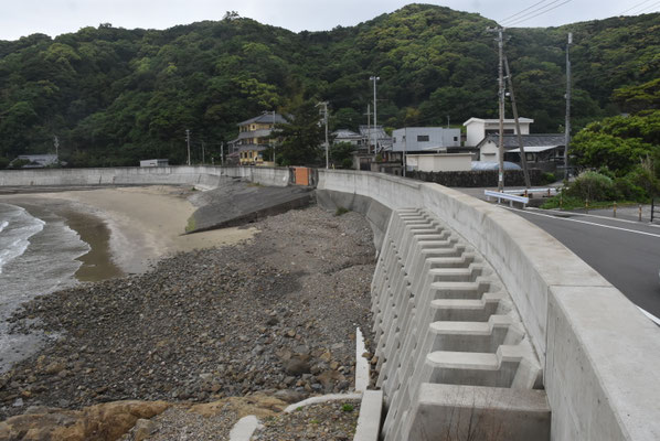 4598 方杭町の海岸部(地盤高3m+2m)