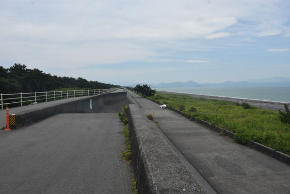9051 田子の浦の東側