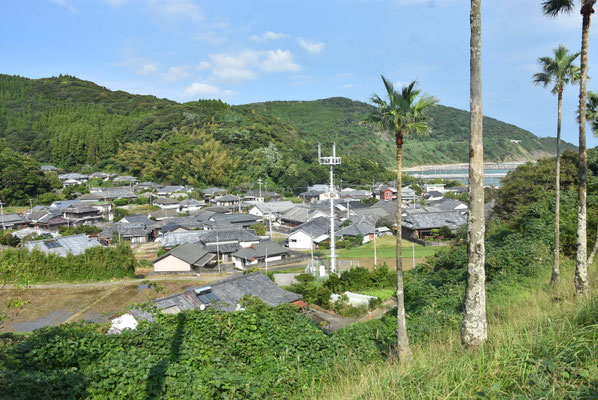 1314 宮之浦漁港と住宅