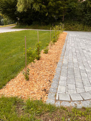 Terrassenbau, Wohlfühloase, Pflasterarbeiten, Rollrasen, Galabau Sigel