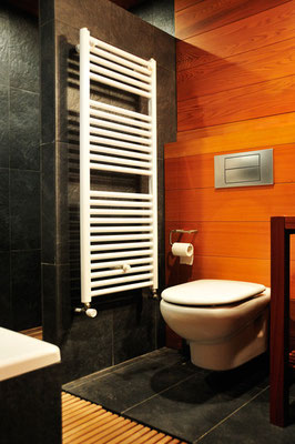 Bathroom with wood paneling