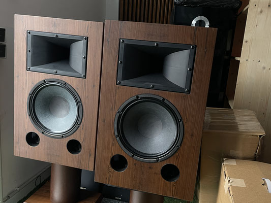 Studio Monitor Snake Oil Audio Monitor Eins Detail Basschassis 12 Zoll