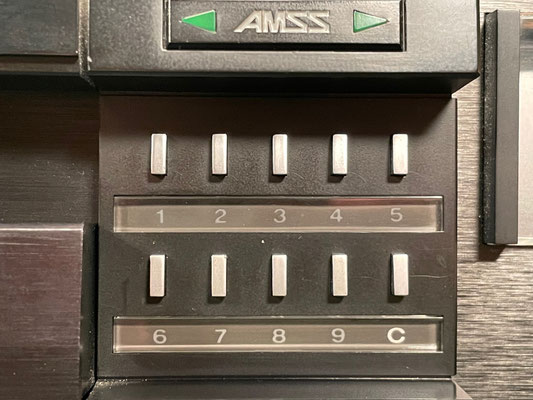 Sanyo Plus D-80