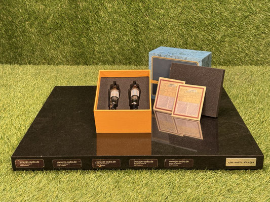 Röhre Psvane WE310A Röhrenpaar in Originalbox