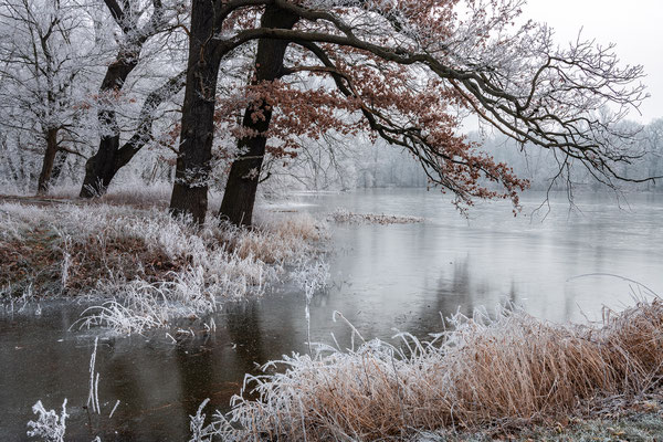 Januar - Diepold