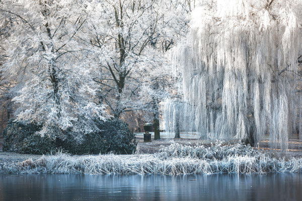 Januar - Beckerbruch