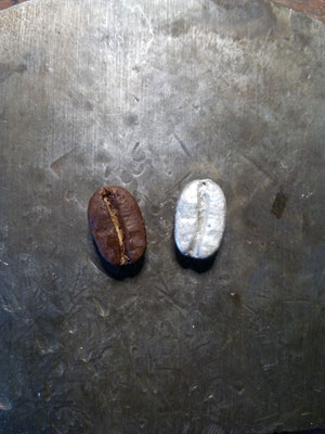 Graine de café  Argent 925