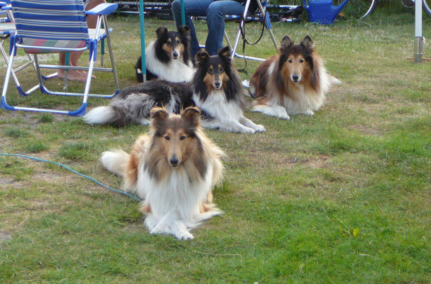 vorne Meggy, hinten v. li. Sheila, Klara, Carlo