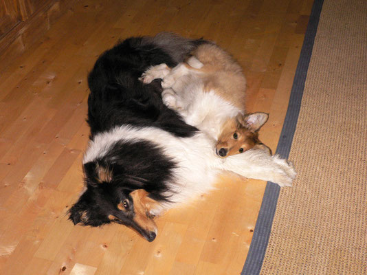 Mai 2006