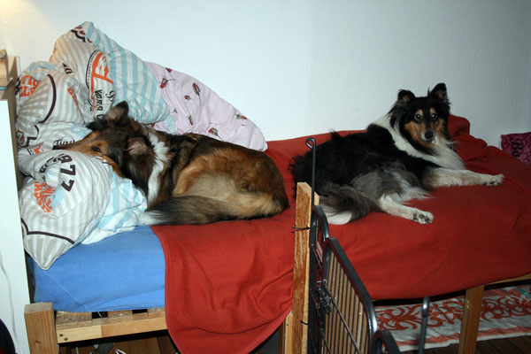 Boots und Klara ♥