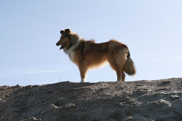 Prinzessin; Norderney