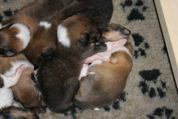 Die Schwestern Bree und Bailey