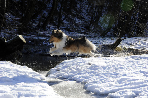 Timmy im freien Flug ;)