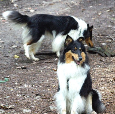 Mika und hinten Biscuit