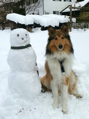 Pino hat einen Schneemann gebaut ;) 