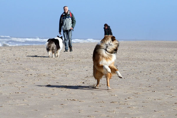 Norderney