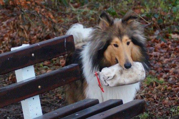 Immer fleißig, der "Kleine" <3