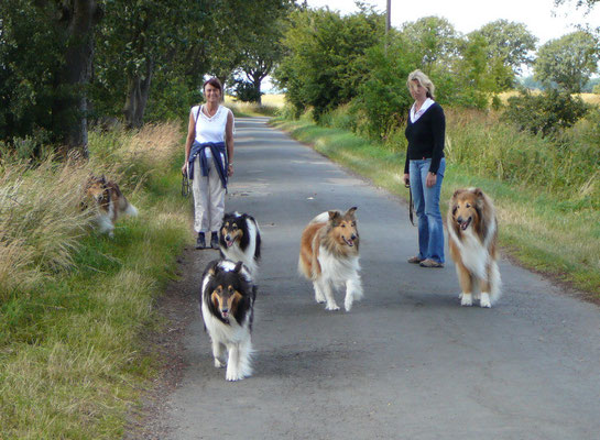 Rückweg über Land