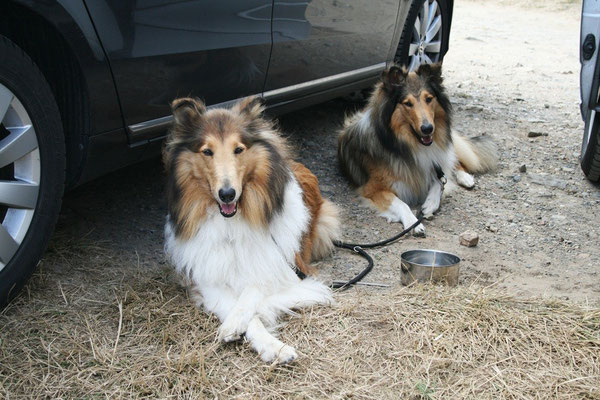 Am Parkplatz erstmal kurze Pause im Schatten