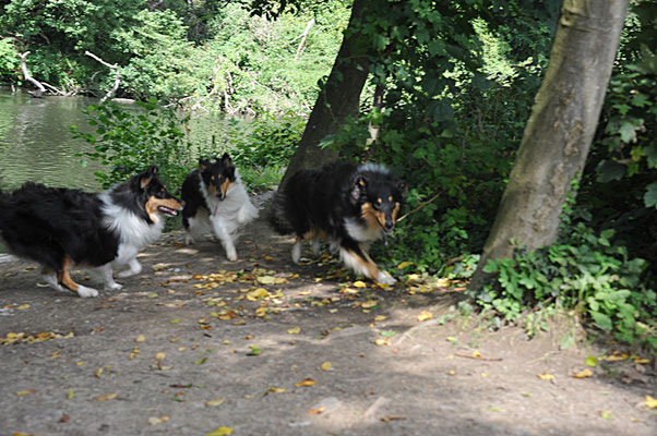 Mika, Biscuit und Milos