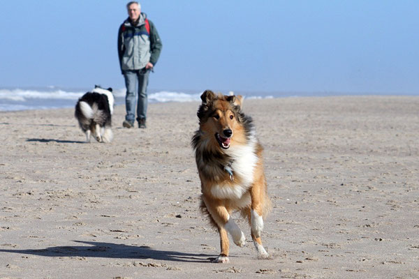 Norderney