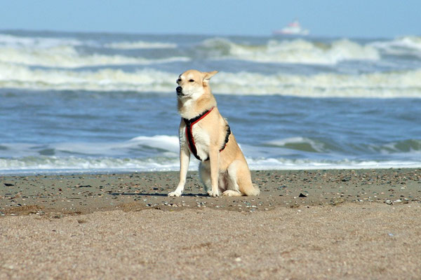 Norderney