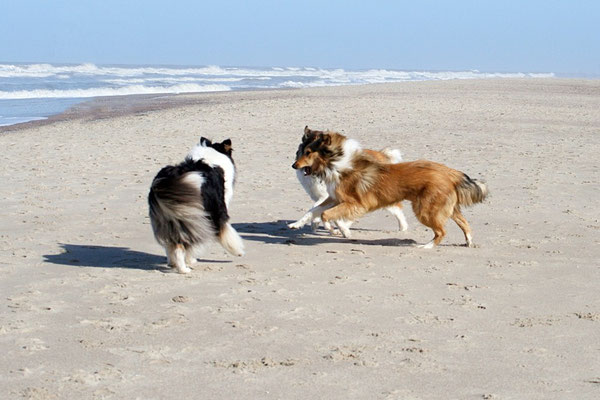 Norderney