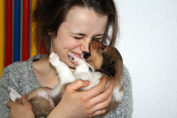 Dastan im Kuschelwahn ♥