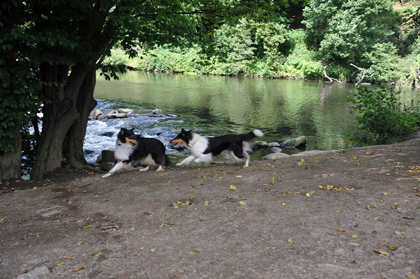 Milos und Biscuit