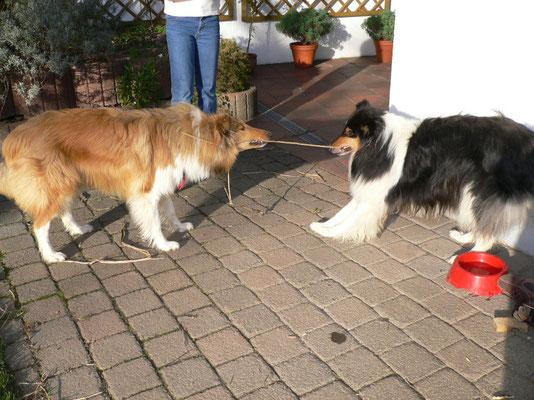 Dezember 2006