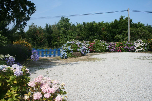 Mit einem unglaublich tollen Garten