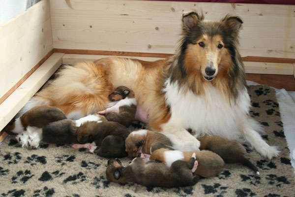 Eine glückliche Mama mit ihrer süßen Kinderschar <3