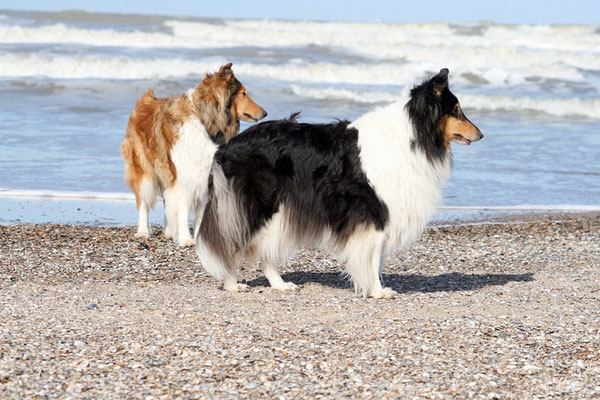 Die Schwestern; Norderney