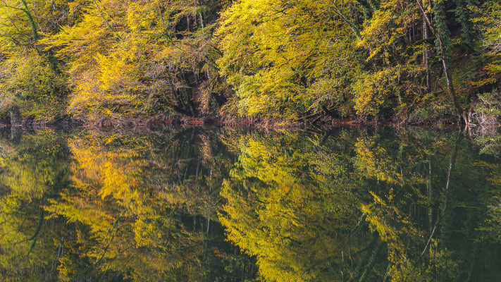 Seespiegelungen im Herbst